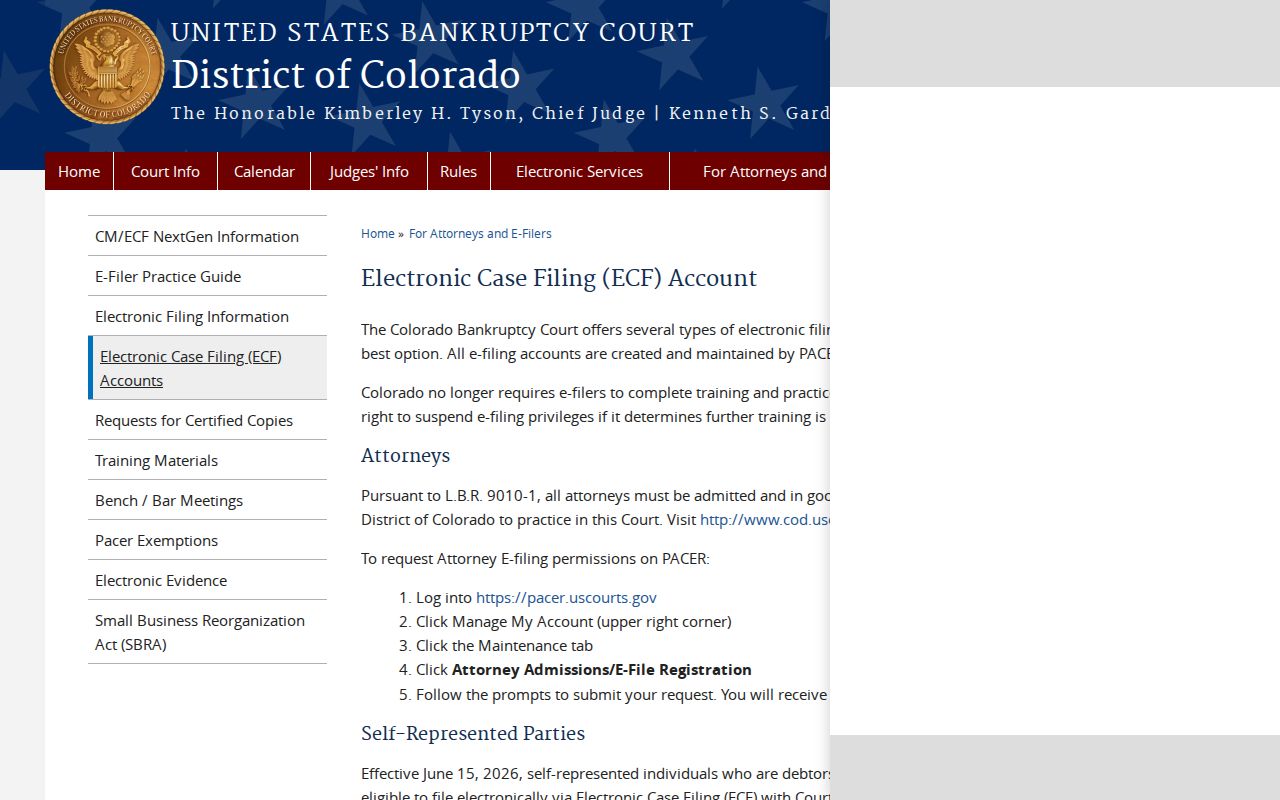 Federal ECF filing access outside the Black Hawk court docket